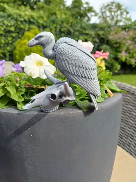 Desert Sentinel – Kền kền & Đầu lâu - Image 3