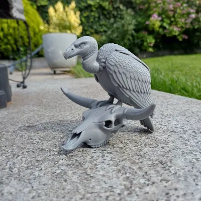 Desert Sentinel – Kền kền & Đầu lâu