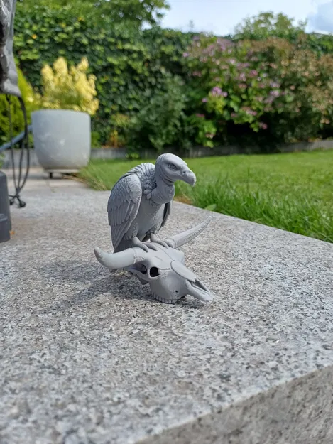 Desert Sentinel – Kền kền & Đầu lâu - Image 5