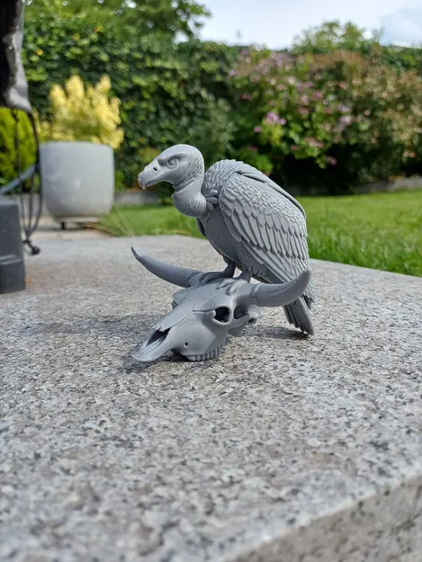 Desert Sentinel – Kền kền & Đầu lâu - Image 7