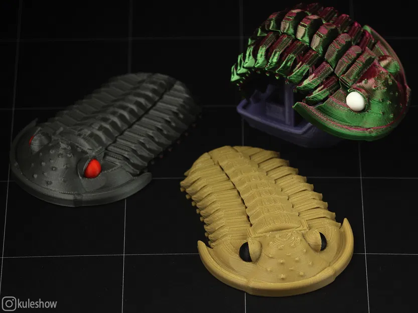Trilobite Flexiphacops rana - Mô Hình 3D In 3D Linh Hoạt - Image 1