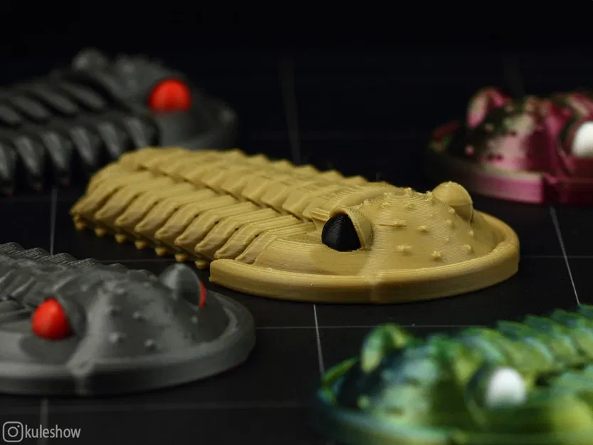 Trilobite Flexiphacops rana - Mô Hình 3D In 3D Linh Hoạt - Image 4