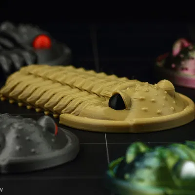 Trilobite Flexiphacops rana - Mô Hình 3D In 3D Linh Hoạt