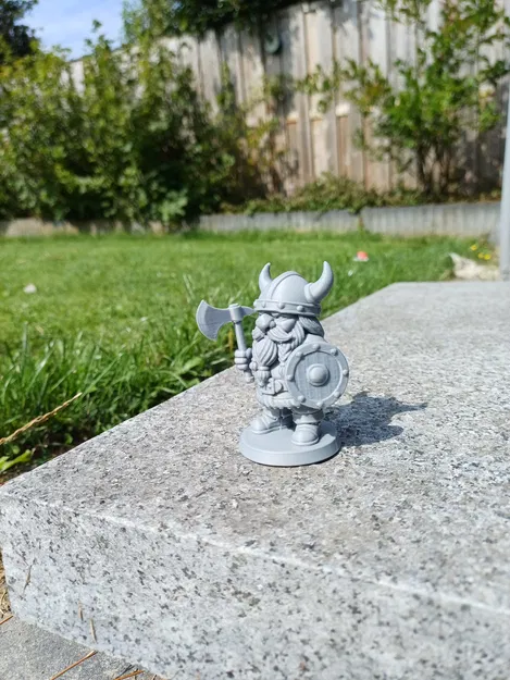 Người Gnome Viking – Kẻ phòng thủ với Rìu & Khiên - Image 4