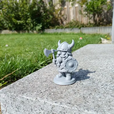 Người Gnome Viking – Kẻ phòng thủ với Rìu & Khiên