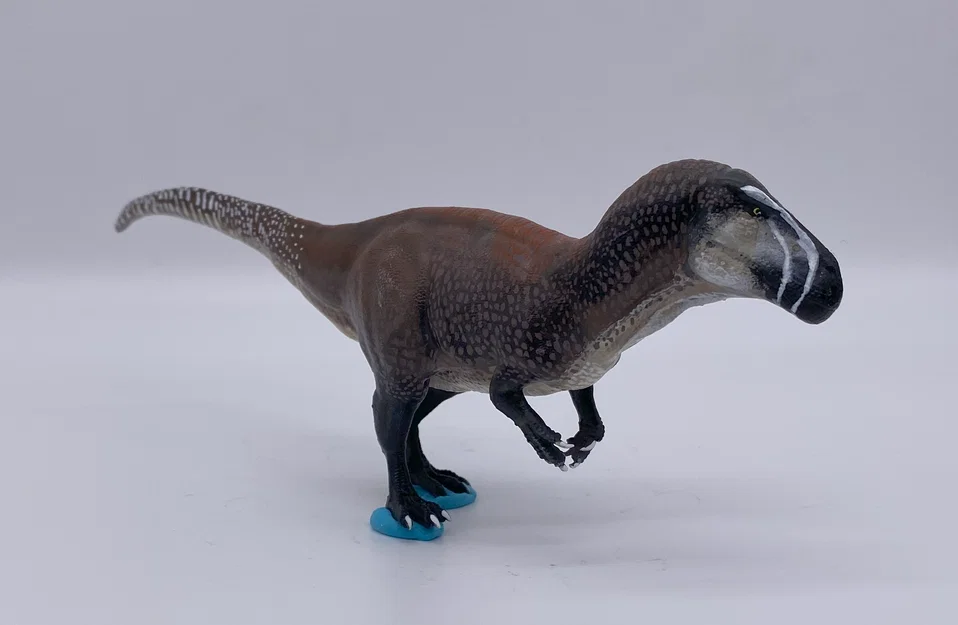 Tượng Torvosaurus - Image 6