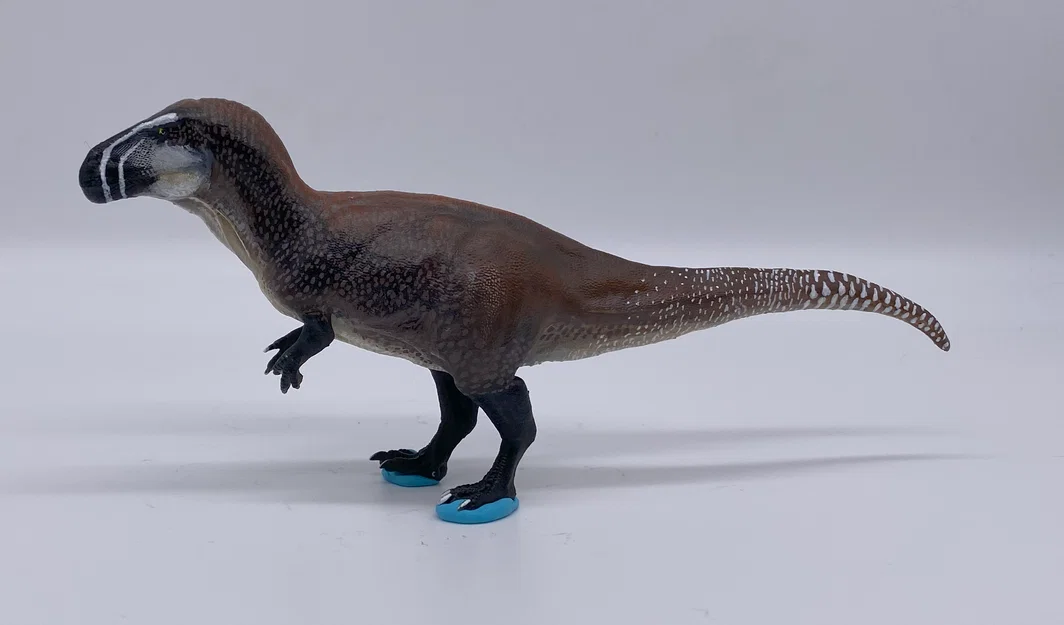 Tượng Torvosaurus - Image 7