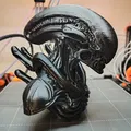 Tượng bán thân Xenomorph Người ngoài hành tinh - Thumbnail 1