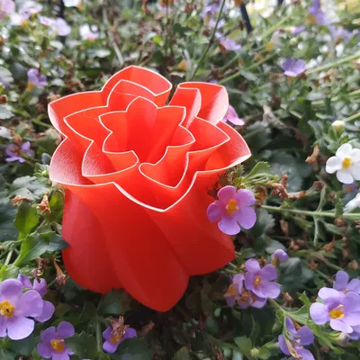 Bông Hoa Chế Độ "Vase Mode"