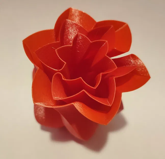 Bông Hoa Chế Độ "Vase Mode" - Image 4