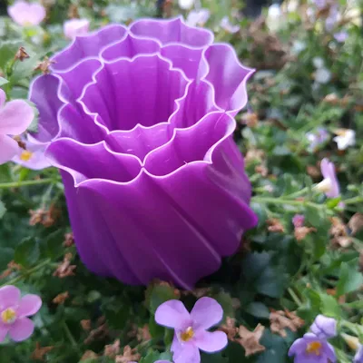 Bông Hoa Chế Độ "Vase Mode"