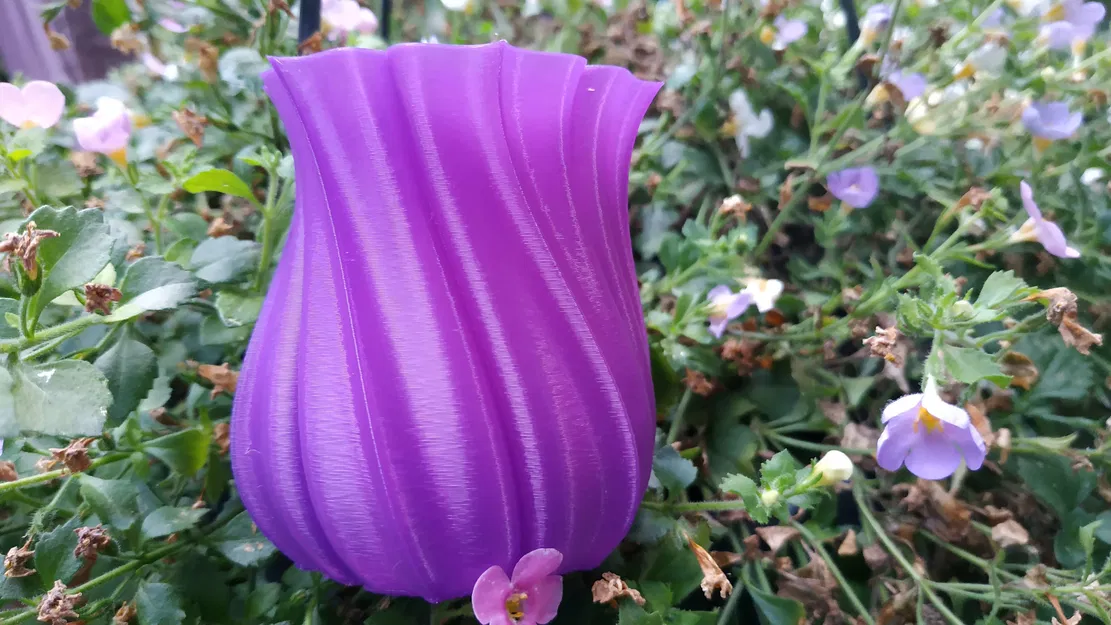 Bông Hoa Chế Độ "Vase Mode" - Image 2