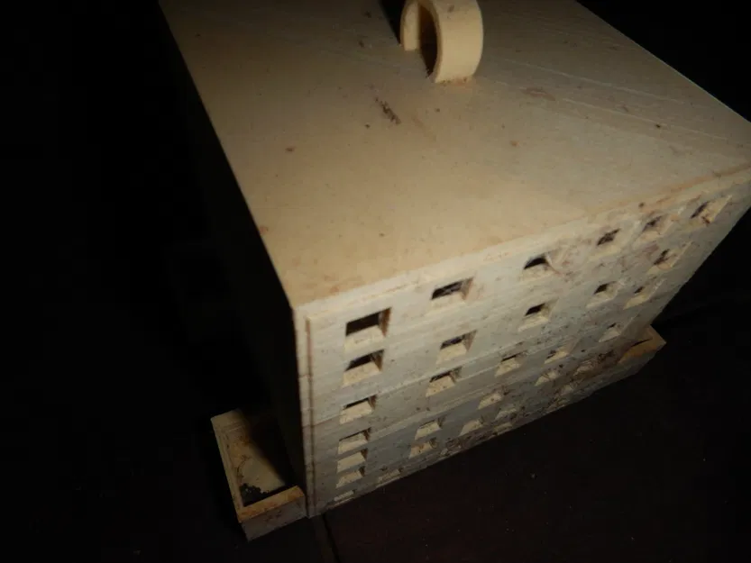 Tổ Ong Mới - Mẫu In Độc Đáo Cho Loài Ong - Image 2