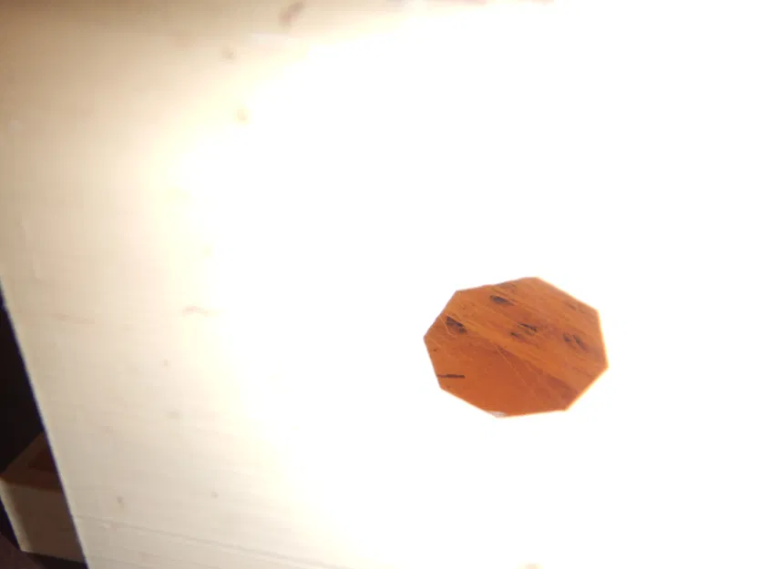 Tổ Ong Mới - Mẫu In Độc Đáo Cho Loài Ong - Image 3