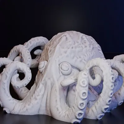 Bạch Tuộc Khổng Lồ 50mm/25mm (DND / TTRPG)