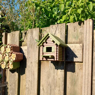 Nhà Chim Hình Nhà Gỗ