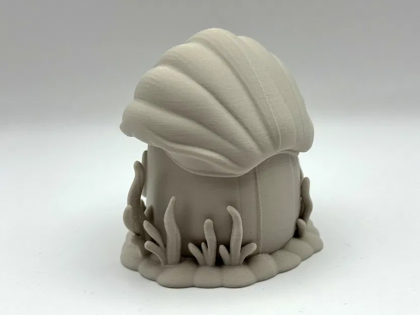 Ngôi Nhà Tiên Ốc Sò - Image 3