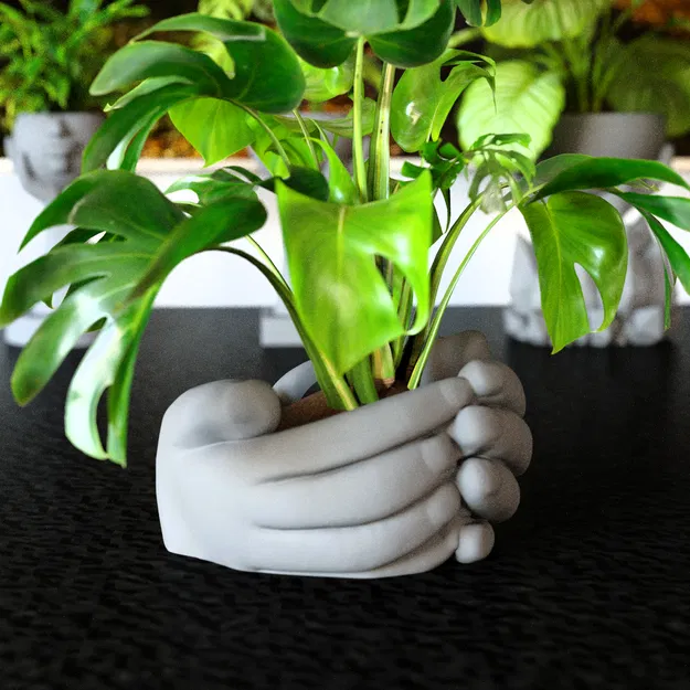 Tay Ôm Chậu Hoa - Image 1