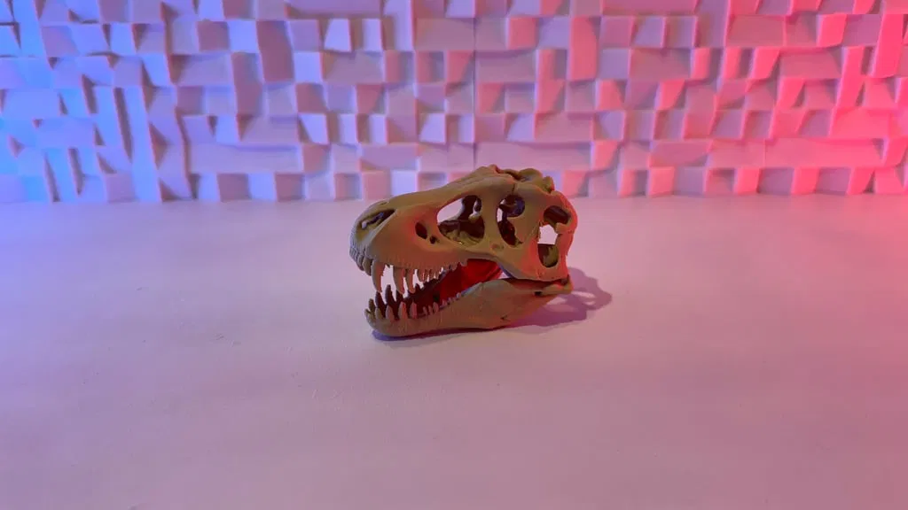 Mô hình sọ T-Rex - Image 1