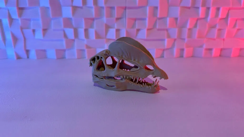 Sọ Dilophosaurus - Image 1