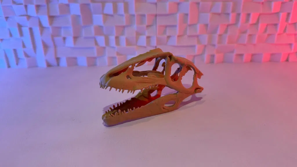 Hộp sọ Gigantosaurus - Image 1