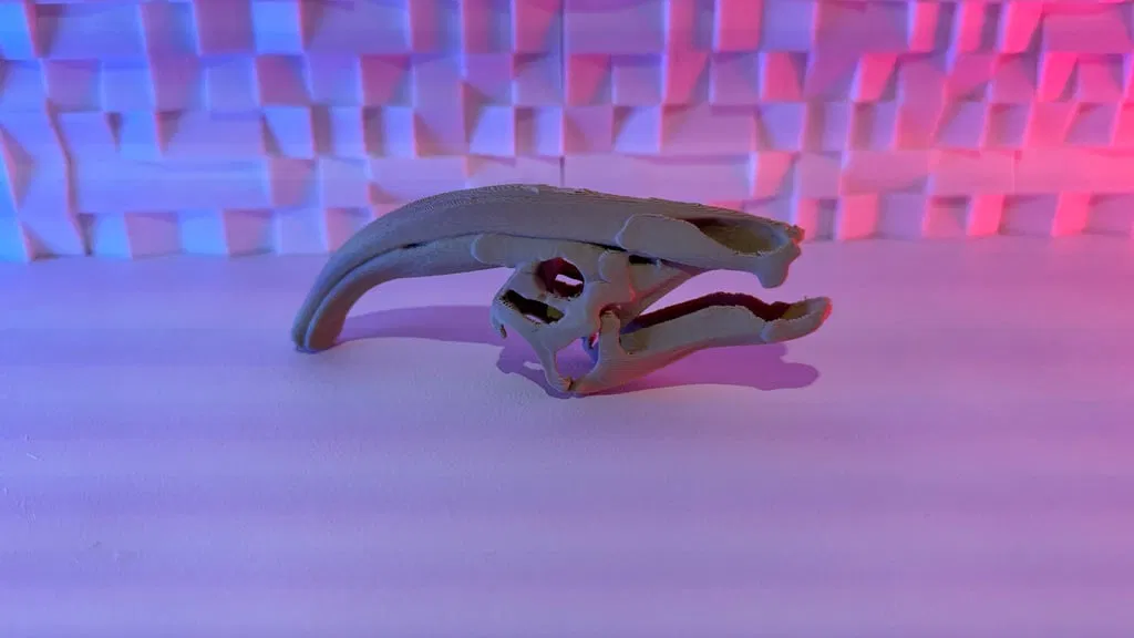 Mô hình sọ khủng long Parasaurolophus - Image 1