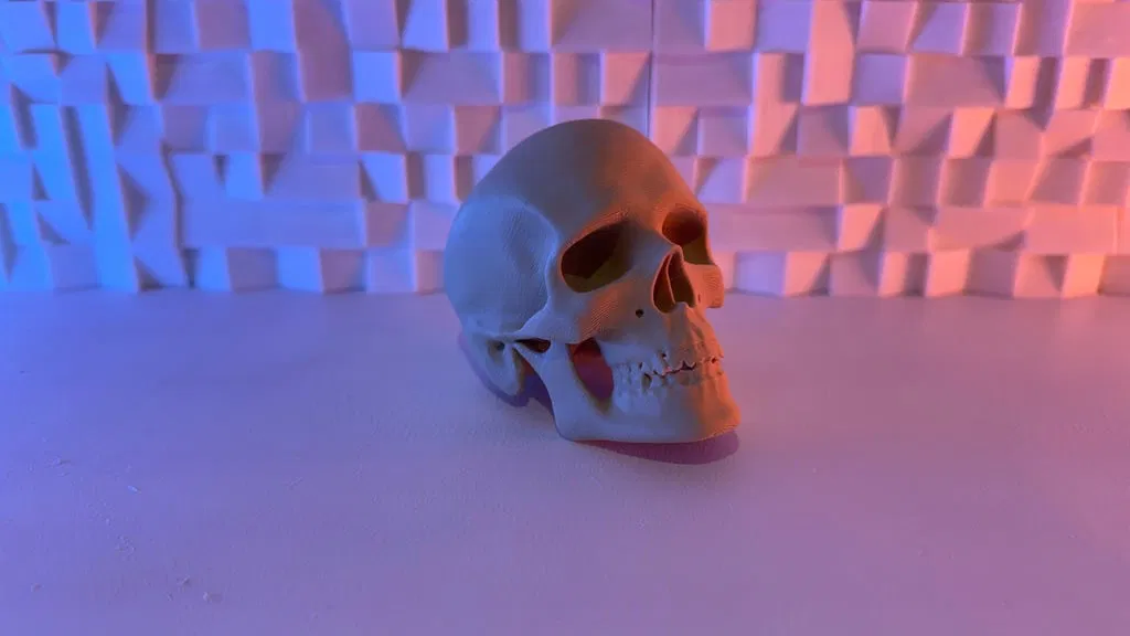 Đầu Lâu Người - Image 1