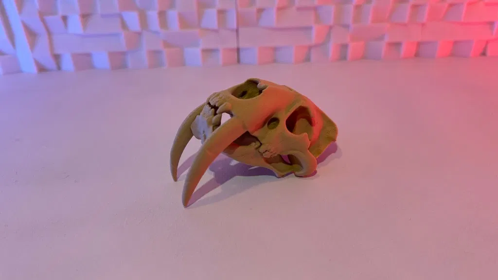 Sọ Hổ Răng Kiếm 3D - Image 1