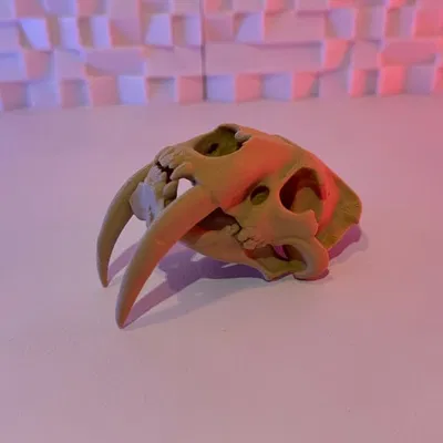 Sọ Hổ Răng Kiếm 3D