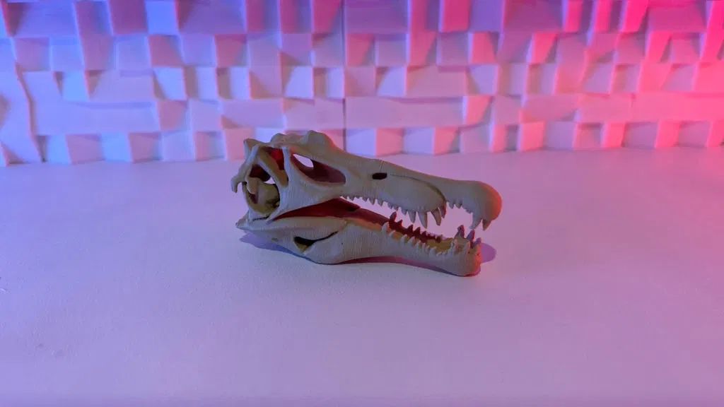 Đầu lâu Spinosaurus - Image 1