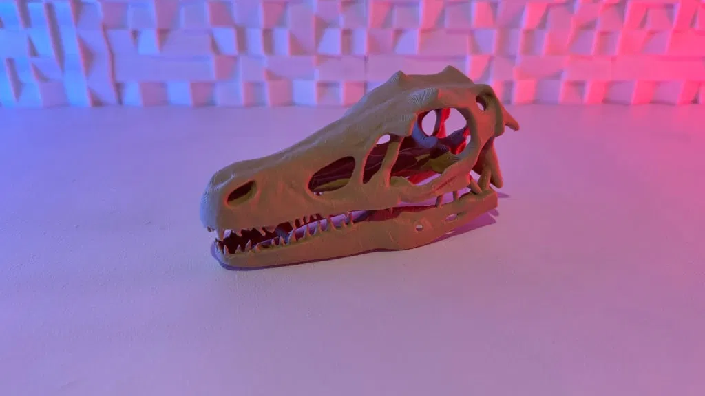 Mô hình sọ Velociraptor - Image 1