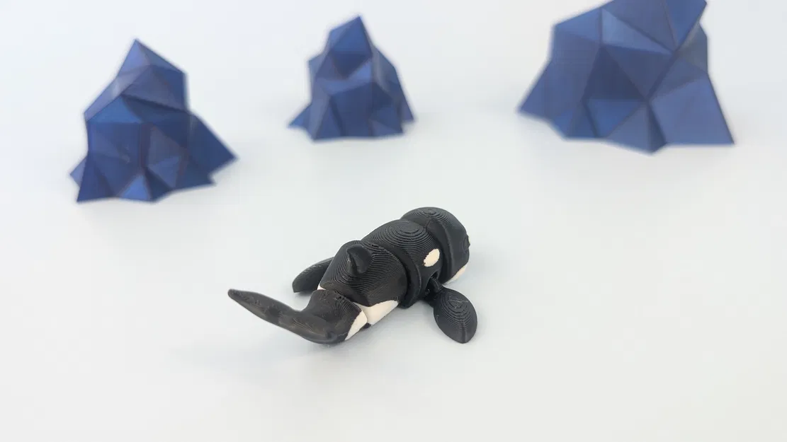 Cá voi Sát thủ Bắc Cực - Mô hình Móc chìa khóa Khớp nối - Image 5