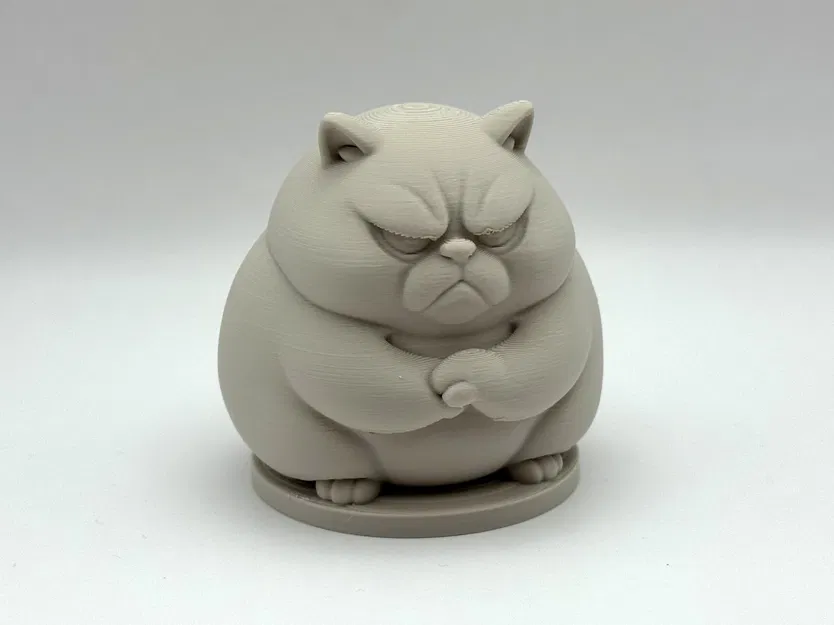 Mèo Chằn Chằn Mập Ú - Image 3