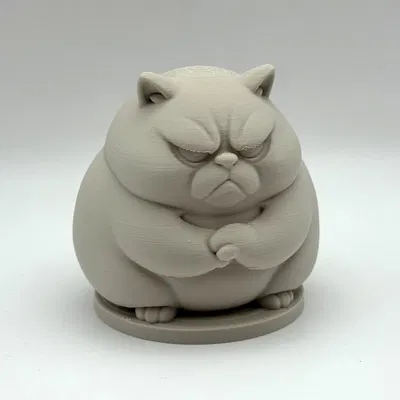 Mèo Chằn Chằn Mập Ú