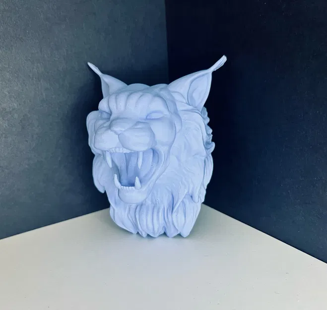 Móc Treo Chìa Khóa/Trang Trí Tường Hình Mèo Maine Coon - Image 4