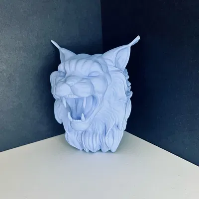 Móc Treo Chìa Khóa/Trang Trí Tường Hình Mèo Maine Coon