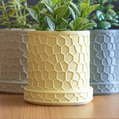 Chậu Cây Hình Tổ Ong Hiện Đại