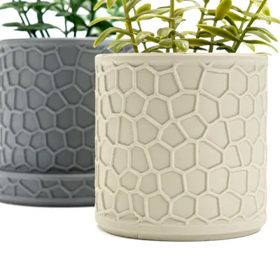 Chậu Cây Hình Tổ Ong Hiện Đại