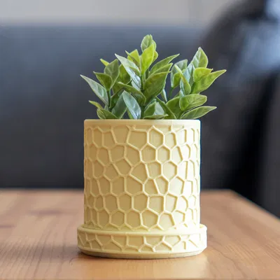 Chậu Cây Hình Tổ Ong Hiện Đại