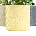 Chậu Cây Hình Tổ Ong Hiện Đại - Thumbnail 5