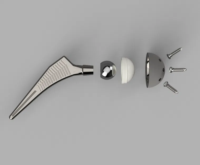 Giải mã chỉnh hình: Mô Hình Thay Khớp Háng Toàn Bộ - Image 2