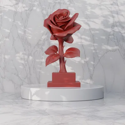 Trang Trí Hoa Hồng