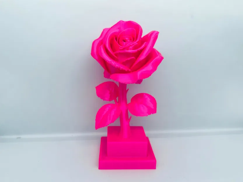 Trang Trí Hoa Hồng - Image 2