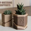 Chậu hoa "HEXA-CUT" Tự Tưới Nước - Thumbnail 1