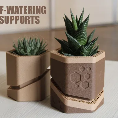 Chậu hoa "HEXA-CUT" Tự Tưới Nước