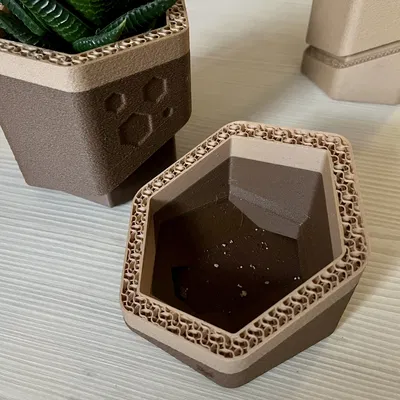 Chậu hoa "HEXA-CUT" Tự Tưới Nước