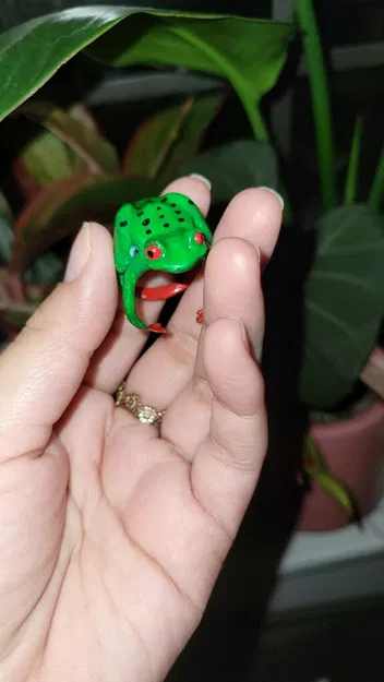 Nhẫn Ếch Cây - Image 2