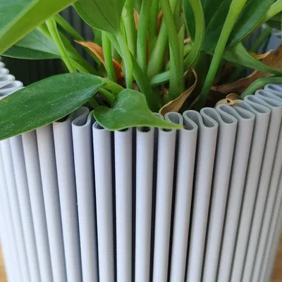 Chậu cây và Bình hoa hình dải lụa - Thiết kế chế độ Vase