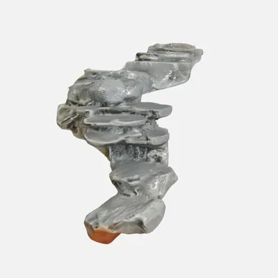 Cầu thang đá cho hồ cá, Terrarium hoặc Paludarium