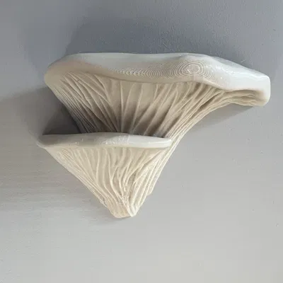 Tay nắm nấm cây | Tay nắm nấm